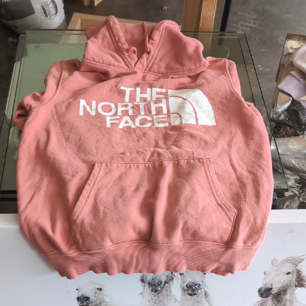 The North Face Coral Hoodie
